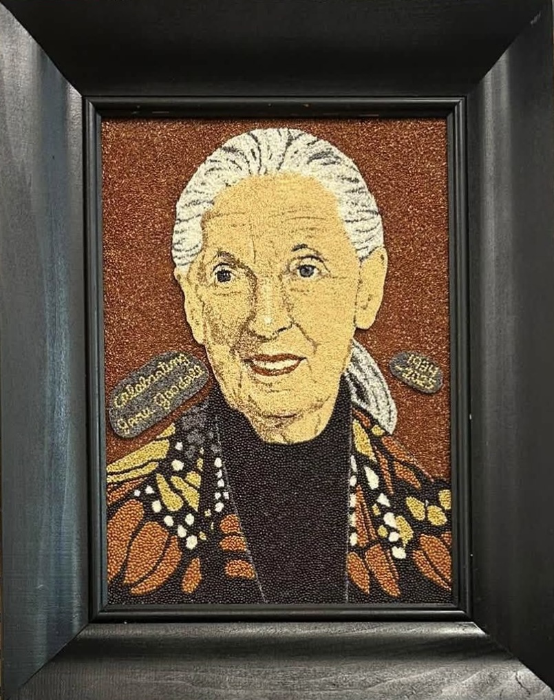 [Linda Paulsen Jane Goodall image]